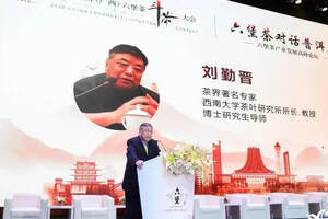 「见证」茶界著名专家刘勤晋：我与广西六堡茶有不解之缘