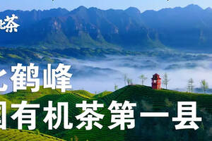 “中国有机茶第一县”鹤峰还要做“中国茶叶出口第一县”