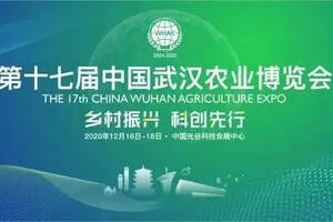 黄鹤楼茶业亮相第十七届中国武汉农业博览会