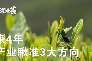 未来4年，湖北茶产业“高飞”应瞅准这3大方向