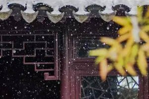 在一场雪后，看素颜的中国