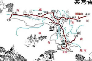 大郭说茶丨106.茶马古道的路线