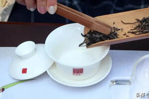 大郭说茶丨49.普洱茶的苦和甜