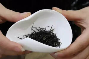 茶籽粉能做洗发水