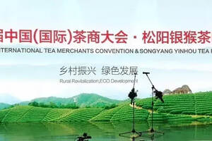 第十二届中国（国际）茶商大会•松阳银猴茶叶节开幕