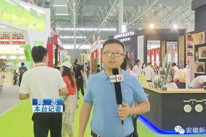 安徽茶叶博览会