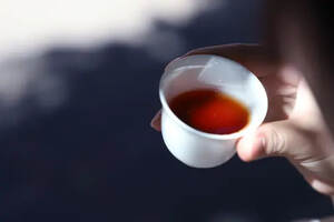 福海讲堂：为什么那么多人喜欢老茶头