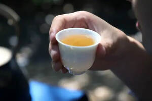 福海讲堂 | 这里有最适合茶树生长的环境