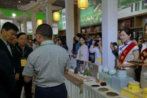 国际茶博会第三天，邛崃黑茶文化节.斗茶大赛之昌泰普洱拍卖会