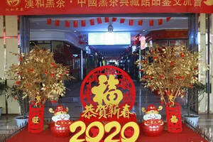 成都龙和国际茶城2020年“第三届年货节”盛大开幕
