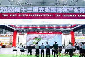 「合肥历史名茶」诞生—《庐州府茶》亮相国际茶叶博览会