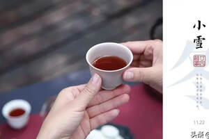 小雪茶语 | 羊城客来茶当酒，竹炉汤沸火初红
