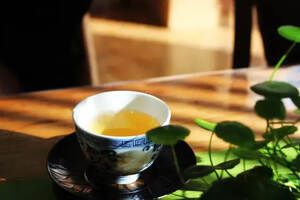 白茶属于什么茶种适合啥时候喝