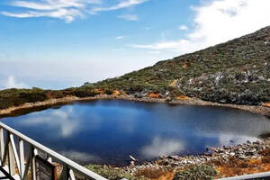 「高山上的茶会」在海拔3900米之上，对茶的热爱，永不消退！