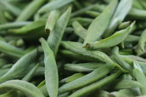 贵州最贵的茶叶多少钱一斤