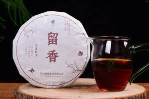 陈年普洱茶是什么茶