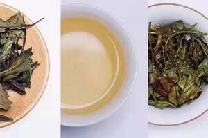 白茶、绿茶、岩茶、红茶，都是越嫩才越好？