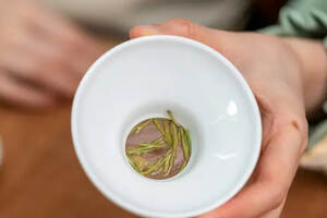 盲评小试验：泡绿茶有必要用茶滤吗？为什么？