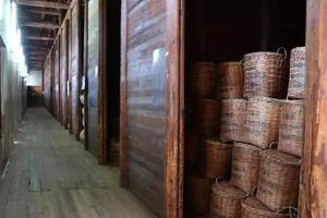 专注六堡茶生产，走进广西梧茶厂有限公司