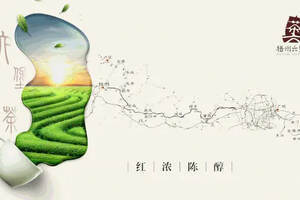 2020年中国六堡茶企业及个人表彰目录