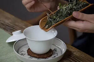 喝福鼎白茶要了解的4个真相，教你如何挑一款好白茶