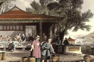 六堡茶产地位于广西哪个城市