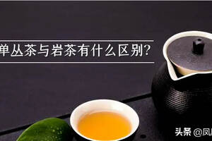 凤凰单丛与武夷岩茶有什么区别？