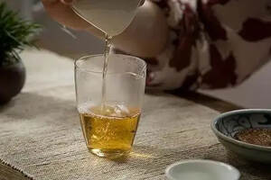 福鼎白茶｜饼茶、散茶？春茶、秋茶？白茶寿眉如何选？