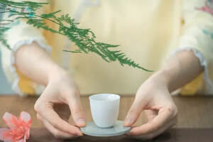 春日饮茶图鉴 | 阳光正好，不如泡一盏清茶？