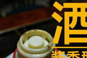 中国酱香酒十大品牌排行榜第七名