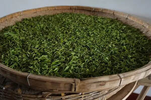 你的绿茶买的贵，喝法不对全浪费。茶贵，贵在好风味