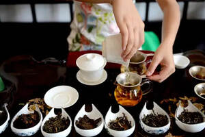 哪个季节的普洱茶品质最好
