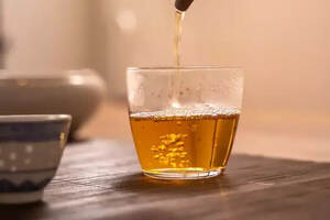关于白茶你知道多少？从春到秋，从新到老，一文详解