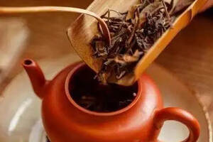 夏季人人都可以多喝的老白茶，你知道怎么冲泡最好喝吗？