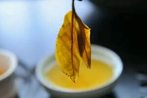 普洱茶知识：普洱茶与温度之间的关系