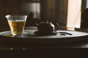 喝茶养生分体质！体质较差该选什么样的福鼎白茶？怎么冲泡更好？