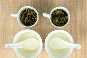黄茶篇 | 同一种茶“快速出汤”和“闷泡”对比试验报告