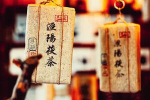 泾阳茯茶，一款陕西与其他地方相互交融的茶