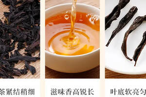 福建最具特色与底蕴的“九大名茶”都有谁？有一个号称“鼻祖”