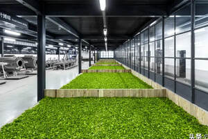 茶叶生产过程中的“黑科技”，是我国农业生产技术发展的见证