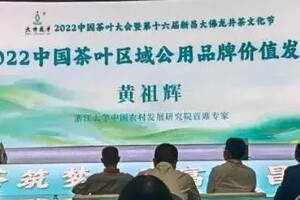 祝贺！梧州六堡茶获评“2022中国茶叶最具品牌传播力品牌”