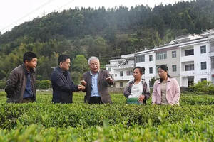 上犹县供销社聘请翁昆为茶叶产业技术顾问