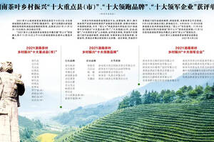 湖南月光茶业获评“2021年湖南茶产业十大领军企业”称号
