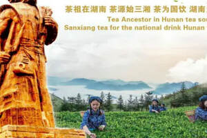 为“湖南红茶”而歌 为千亿湘茶而颂