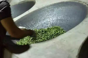 「茶工艺」普洱茶加工工艺最重要的一个环节——杀青