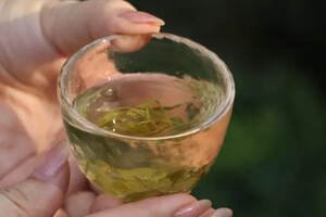 绿茶这么多“青”，怎么区分？
