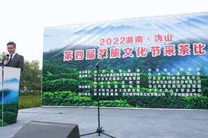 湖南·沩山第四届茶旅文化节采茶比赛开幕