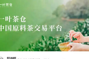 中国普洱茶交易平台