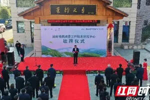 2021湖南茶业科技创新论坛在湖南沅陵县举行