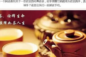 习茶|岩茶高手是怎样炼成的？
